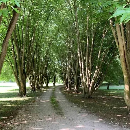 élégant, Climatisation Et Piscine *